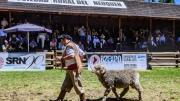 El campo patagónico tiene cita en Junín de los Andes