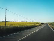 La isla de cemento en la ruta 8: la historia del hombre que fue invisible a metros de todos