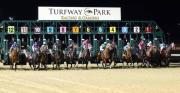 ¿Es rentable jugar favoritos en Turfway Park? El desafío de los dividendos en Kentucky