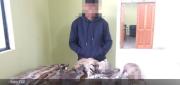 FISCALÍA INVESTIGA A UN HOMBRE POR PRESUNTA VENTA DE ANIMALES SILVESTRES DISECADOS EN EL ALTO