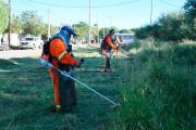 Concretaron trabajos de desmalezamientos en el sur de la Capital