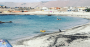 Abren Playa Chanavayita este verano 2026 en Iquique: Todo lo que debes considerar