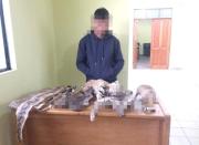 Aprehenden a sujeto por presunta venta ilegal de especies silvestres disecadas en la ciudad de El Alto 