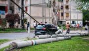 Cayó un árbol de gran porte y aplastó dos autos en zona sur