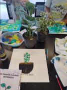 Dos talleres de verano gratuitos para niños y adolescentes en el MMAMM