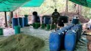 Lucha antidroga 2025: más operativos y químicos incautados, pero decomiso de cocaína cae en 43%