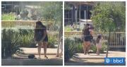 Captan a una mujer robándose a un pato bebé en laguna de Mall Plaza Oeste
