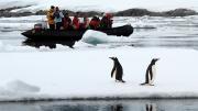 Vacaciones VIP de estrellas de Hollywood en la Antártica reabren debate por impacto ambiental en el continente blanco