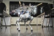 Alqo: El perro robot que se suma a la recuperación del patrimonio histórico del Centro de Lima