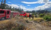 Incendio forestal fue controlado en Quero 