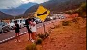 Clima: otra vez cortes de ruta y caos en la 68
