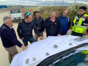 Electromovilidad: 23 empresas muestran interés en licitación del proyecto para Punta Arenas