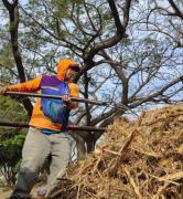 Ejecutadas labores de recolección de desechos en Distribuidor Negro Primero