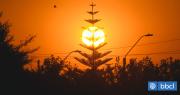 Ola de calor extremo activa alerta roja en Maule, Ñuble y Bío Bío
