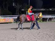 ¿Se queda en Coche? El sólido arranque de Juan Pablo Paoloni abre el debate sobre su permanencia