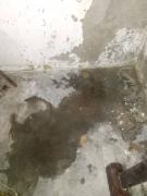 Bomberos inspeccionarán filtraciones en el urbanismo Luisa Cáceres