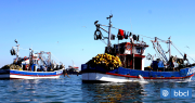 Pescadores Industriales se querellan por piratería tras intento de robo de jurel en bahía de Coronel