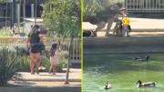 Decidí ir a dejarlo a la laguna, pero trataba de salir: Declaración de mujer que fue acusada de robarse un patito desde un mall