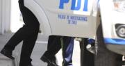 Denunciar importa: PDI detiene a imputado por maltrato animal en Arica
