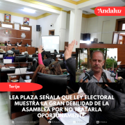 Lea Plaza señala que Ley Electoral muestra la gran debilidad de la Asamblea por no tratarla oportunamente