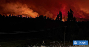 Desde Senapred lamentan incendios en provincia de Concepción: Van casi 3 mil hectáreas consumidas
