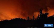 Incendio forestal en Concepción: 10 viviendas consumidas por las llamas y 1200 hectáreas afectadas