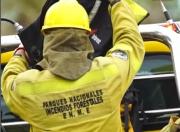 Incendio en Los Alerces: alertan por falsas campañas de recaudación y piden respetar las restricciones