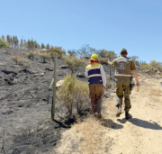 Incendios forestales en el Maule: 38 siniestros investigados y un llamado urgente a la prevención