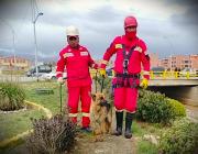 Bomberos rescatan a dos canes atrapados en un río de El Alto