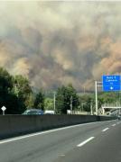 Chile declaró estado de catástrofe por incendios forestales con más de 20 focos activos