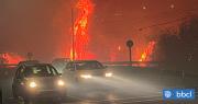 Una catástrofe: Más de 18 mil hectáreas han sido consumidas por incendios en la región del Bío Bío