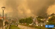 Conaf mantiene 24 incendios forestales en combate: Ñuble y Bío Bío continúan en Alerta Roja