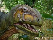 Revelación sorprendente: un estudio demostró que los dinosaurios gigantes eran mucho más lentos de lo que se creía