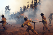 Chile: Al menos 16 muertos y 50 mil evacuados por incendios forestales –