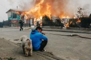 Al menos 16 personas fallecidas y 30.000 evacuados por incendios en Chile