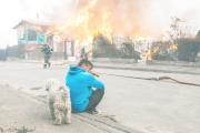 Incendios forestales dejan 16 personas fallecidas en Chile