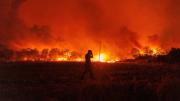 Tragedia y destrucción por los incendios en Chile: al menos 19 muertos y más de 50.000 evacuados