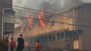 Los incendios en el Sur de Chile ya causaron la muertes de por lo menos 16 personas