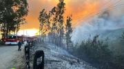Incendios en Chile: cronología de la tragedia que mantiene en vilo al país trasandino