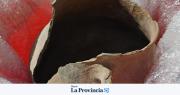 Hallaron una vasija ancestral de alto valor histórico en El Pachón
