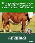 En diciembre cayó el valor del Novillo Tipo pese al sostén del mercado interno ‣ Martin Ferreira Pinto
