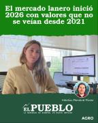 El mercado lanero inició 2026 con valores que no se veían desde 2021 ‣ Martin Ferreira Pinto