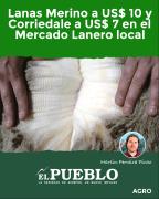 Lanas Merino a US$ 10 y Corriedale a US$ 7 en el Mercado Lanero local ‣ Martin Ferreira Pinto