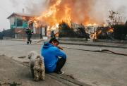 Incendios en Chile: sube a 19 la cifra de muertos y Boric decreta toque de queda