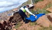 Puno: Confunden perro muerto con cadáver –