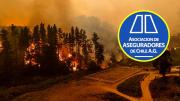 Asociación de Aseguradores de Chile llama a damnificados a verificar si cuentan con seguro de daños por incendios