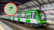 Pánico en el Tren Eléctrico: aparece serpiente dentro de vagón en San Juan de Lurigancho