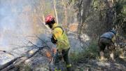 Incendios en Chubut: cómo siguen las tareas de los bomberos cordobeses tras 10 días de trabajo