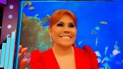 Con nuevos 'ampays', Magaly Medina regresará a ATV con su programa 'Magaly TV: La Firme'