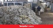 Nueva categoría facilita exportación de lana sucia desde establecimientos rurales
